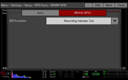 BRAIN GPIO Menu